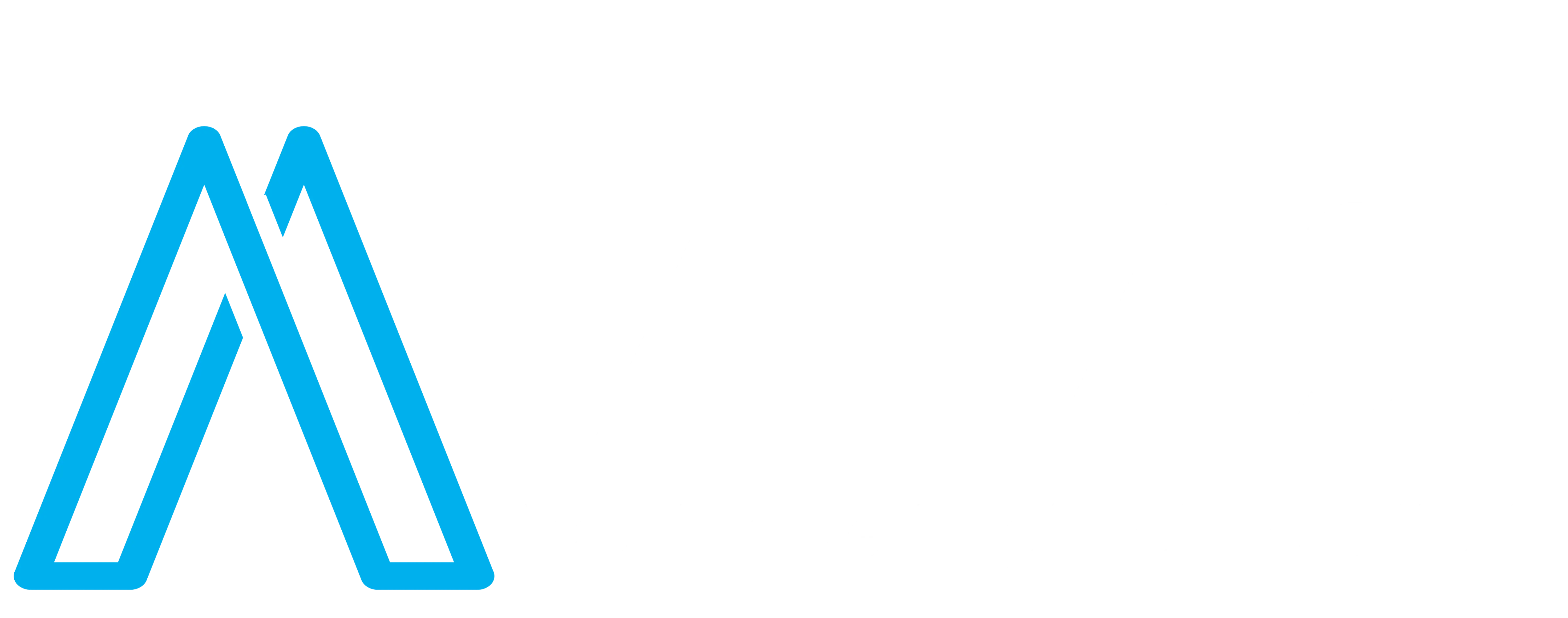 Alias Yazılım ve Bilgi Teknolojileri Logo